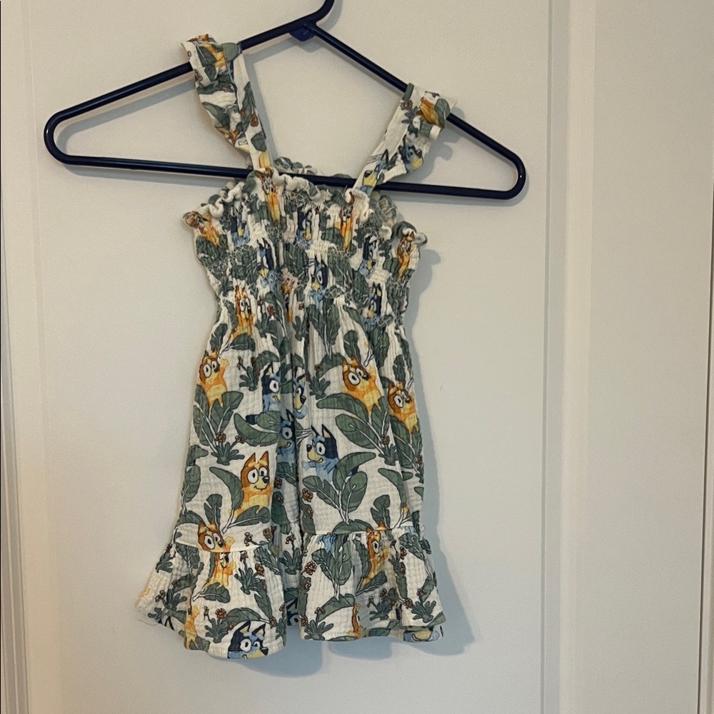 Bluey dress.